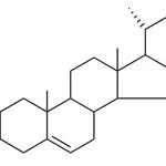 Merck CHOLESTERYL PROPIONATE