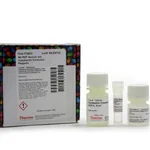 Thermo Fisher Scientific NE-PER Nuclear and Cytoplasmic Extraction Reagents, 15 mL