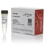 Thermo Fisher Scientific dATP (10 mM)