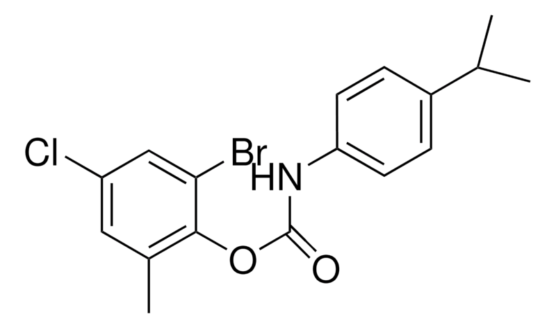Merck 2-BROMO-4-CHLORO-6-METHYLPHENY - 50 MG&