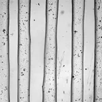 Merck TissueFab® bioink (Gel)ma -UV/365 nm