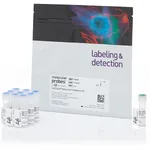 Thermo Fisher Scientific CellTrace Yellow Cell Proliferation Kit, for flow cytometry, 180 Assays