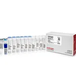 Thermo Fisher Scientific MEGAscript T7 Transcription Kit, 25 Reactions