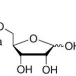 Merck D-RIBOSE 5-PHOSPHATE DISODIUM