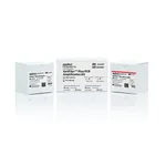 Thermo Fisher Scientific VeriFiler Plus PCR Amplification Kit