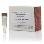 Thermo Fisher Scientific T7 Promoter Primer