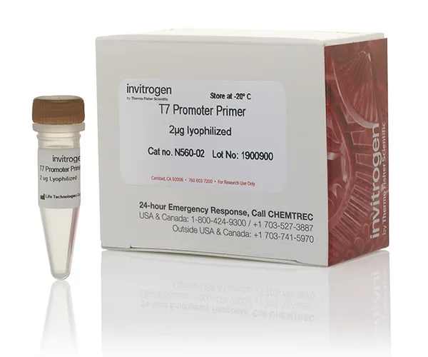 Thermo Fisher Scientific T7 Promoter Primer
