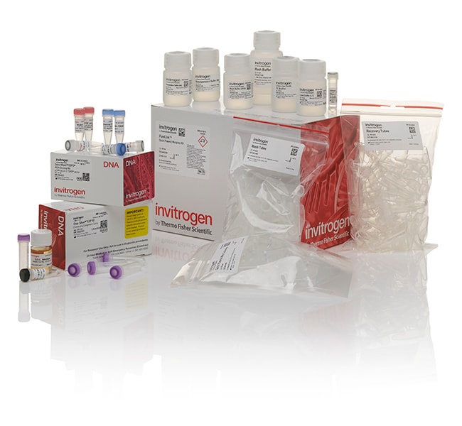 Thermo Fisher Scientific Zero Blunt TOPO PCR Cloning Kit, with pCR-Blunt II-TOPO Vector, One Shot TOP10 Chemically Competent E. coli, and PureLink Quick Plasmid Miniprep Kit