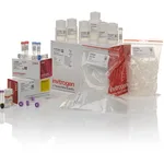 Thermo Fisher Scientific Zero Blunt TOPO PCR Cloning Kit, with pCR-Blunt II-TOPO Vector, One Shot TOP10 Chemically Competent E. coli, and PureLink Quick Plasmid Miniprep Kit