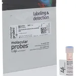 Thermo Fisher Scientific Alexa Fluor 532 NHS Ester (Succinimidyl Ester), 1 mg