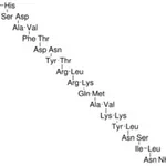 Merck VASOACTIVE INTESTINAL PEPTIDE, HUMAN