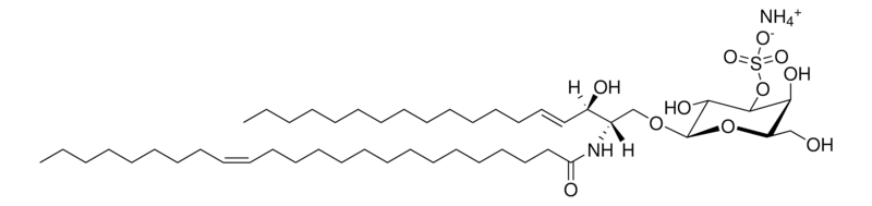 Merck C24:1 Mono-Sulfo Galactosyl(beta) Ceramide (d18:1/24:1)