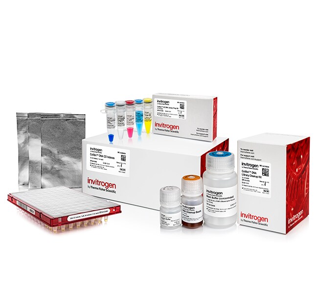 Thermo Fisher Scientific Collibri ES DNA Library Prep Kit for Illumina Systems, with CD indexes, 24 preps
