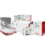 Thermo Fisher Scientific Collibri ES DNA Library Prep Kit for Illumina Systems, with CD indexes, 24 preps