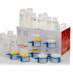 Thermo Fisher Scientific PureLink Expi Endotoxin-Free Mega Plasmid Purification Kit