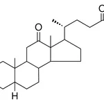 Merck 3,12-DIOXO-5-BETA-CHOLAN-24-OIC A-