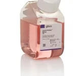 Thermo Fisher Scientific Human Fibroblast Expansion Basal Medium (formerly Medium 106)