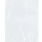 Thermo Fisher Scientific Specimen Transport Bags