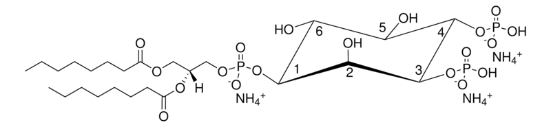 Merck 08:0 PI(3,4)P2
