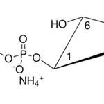 Merck 08:0 PI(3,4)P2