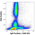 Thermo Fisher Scientific Mouse anti-Human IgM Fc Secondary Antibody