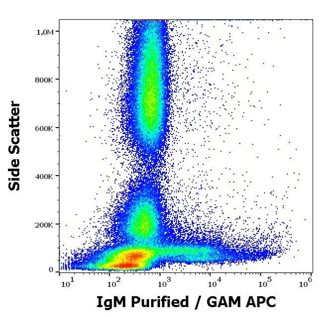 Thermo Fisher Scientific Mouse anti-Human IgM Fc Secondary Antibody