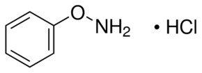 Merck O-PHENYLHYDROXYLAMINE HYDROCHLORIDE, >=&