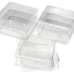 Thermo Fisher Scientific Owl Gel Staining Box
