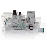 Thermo Fisher Scientific RiboPure RNA Purification Kit, yeast