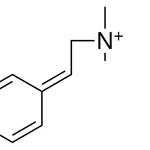Merck (2-(2,5-CYCLOHEXADIEN-1-YLIDENE)-