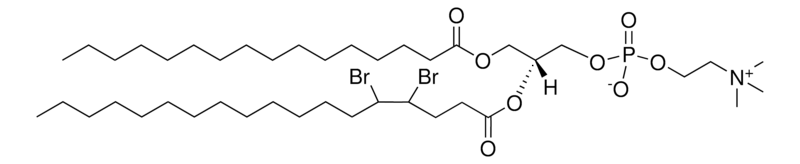 Merck 16:0-18:0(4,5-dibromo) PC