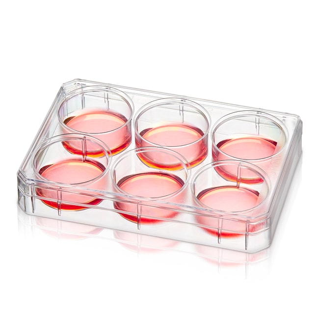 Thermo Fisher Scientific Nunc Multidishes with Nunclon Supra Surface