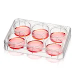 Thermo Fisher Scientific Nunc Multidishes with Nunclon Supra Surface