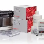 Thermo Fisher Scientific NuPAGE WedgeWell Tris-Acetate Welcome Pack and Mini Blot Modules, 3 to 8%, 10-well, 1 Welcome Pk. kit