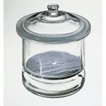 Thermo Fisher Scientific Desiccator with Porcelain Plate