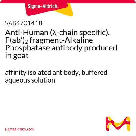 Merck Anti-Human (lambda-chain specific), F(ab')2 fragment-Alkaline Phosphatase antibody produced in goat