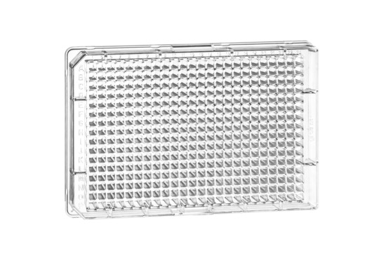 Greiner Bio One MICROPLATE, 384 WELL, PS, F-BOTTOM,CLEAR, STERILE, 10 PCS./BAG