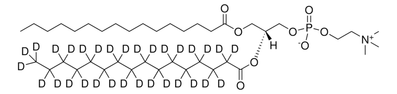 Merck 16:0-16:0-d31 PC