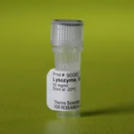 Thermo Fisher Scientific Lysozyme Solution (50 mg/mL)