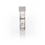 Thermo Fisher Scientific GeneAmp dNTP Blend (2.5 mM ea), 6 x 1 mL