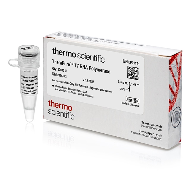 Thermo Fisher Scientific TheraPure T7 RNA Polymerase, 20,000 U
