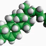 Merck CHOLESTEROL (OVINE)