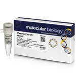 Thermo Fisher Scientific RNase A