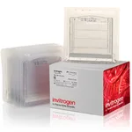 Thermo Fisher Scientific Novex TBE-Urea Gels, 15%, 12-well, 10 Gels/Box