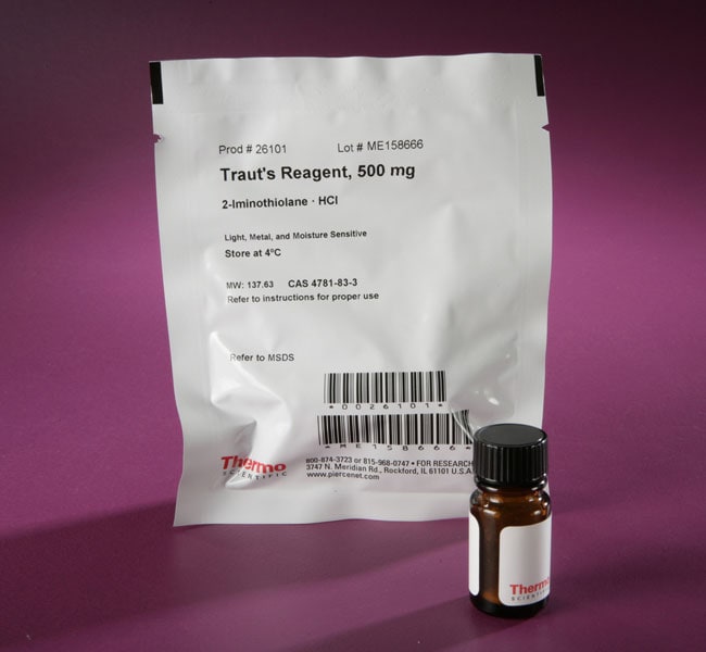 Thermo Fisher Scientific Pierce Traut`s Reagent (2-iminothiolane)