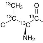 Merck L-VALINE-13C5, 99 ATOM % 13C, 97% CP