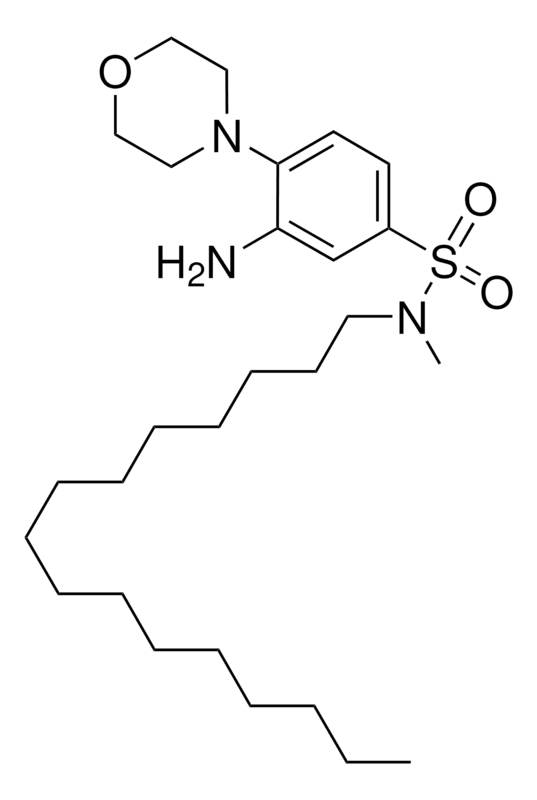 Merck 3-AMINO-N-HEXADECYL-4-(4-MORPHO-