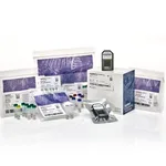 Thermo Fisher Scientific Clariom S Assay, mouse, 10 reactions
