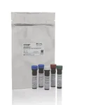 Thermo Fisher Scientific eBioscience Essential Human T-Cell Phenotyping Panel