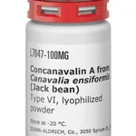 Merck LECTIN FROM CONCANAVALIN A TYPE VI